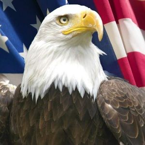 Meet your Posher, This is my